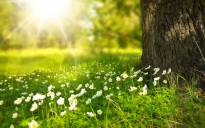 FinFami Satakunta ry:n kesätoiminta 2023