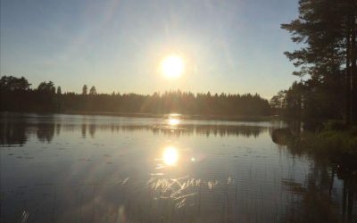 Hyvinvointi-ilta: Luonnon merkitys omaan jaksamiseesi